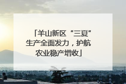 羊山新区“三夏”生产全面发力，护航农业稳产增收
