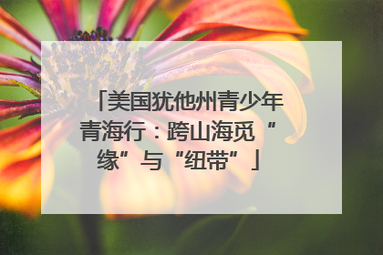 美国犹他州青少年青海行：跨山海觅“缘”与“纽带”