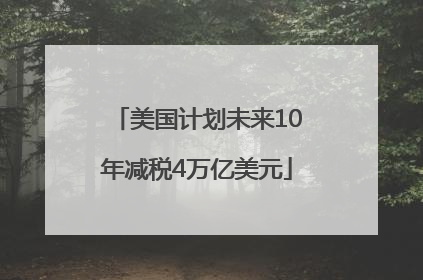 美国计划未来10年减税4万亿美元