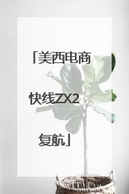美西电商快线ZX2复航