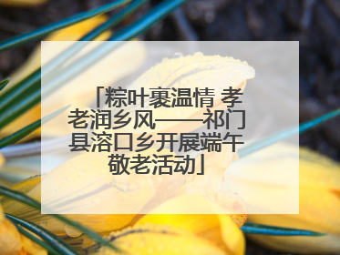 粽叶裹温情 孝老润乡风——祁门县溶口乡开展端午敬老活动