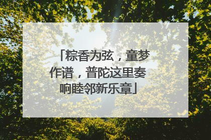 粽香为弦，童梦作谱，普陀这里奏响睦邻新乐章