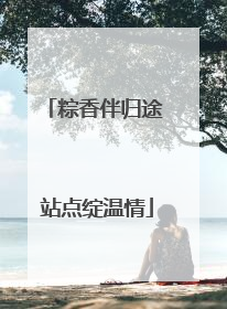 粽香伴归途 站点绽温情