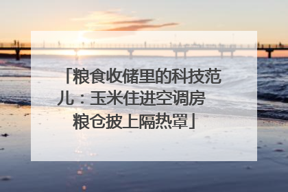粮食收储里的科技范儿：玉米住进空调房 粮仓披上隔热罩