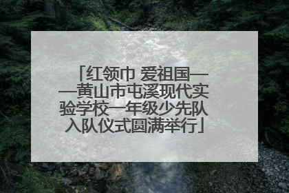 红领巾 爱祖国——黄山市屯溪现代实验学校一年级少先队入队仪式圆满举行