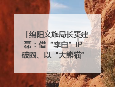 绵阳文旅局长窦建磊：借“李白”IP破圈、以“大熊猫”引流 依托科技优势绽放城市文旅魅力｜文旅局长说