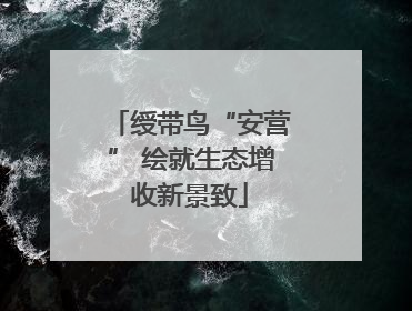 绶带鸟“安营” 绘就生态增收新景致