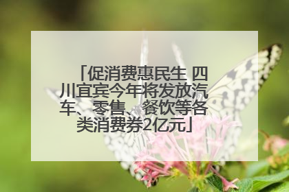 促消费惠民生 四川宜宾今年将发放汽车、零售、餐饮等各类消费券2亿元