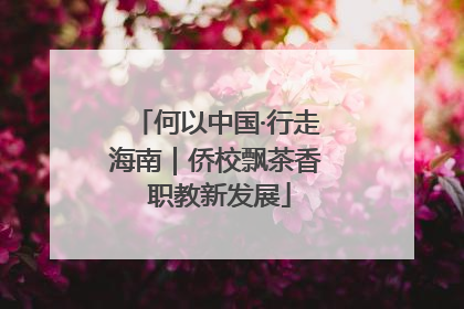 何以中国·行走海南｜侨校飘茶香 职教新发展