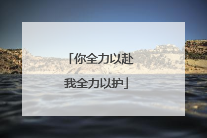 你全力以赴 我全力以护