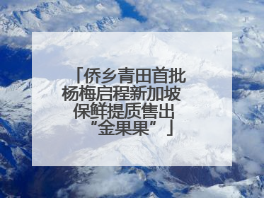 侨乡青田首批杨梅启程新加坡 保鲜提质售出“金果果”