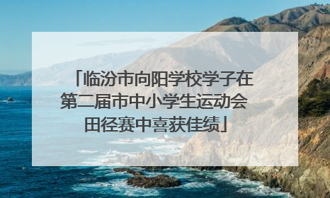 临汾市向阳学校学子在第二届市中小学生运动会田径赛中喜获佳绩