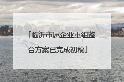 临沂市属企业重组整合方案已完成初稿