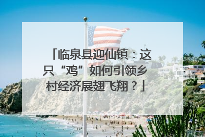 临泉县迎仙镇：这只“鸡”如何引领乡村经济展翅飞翔？