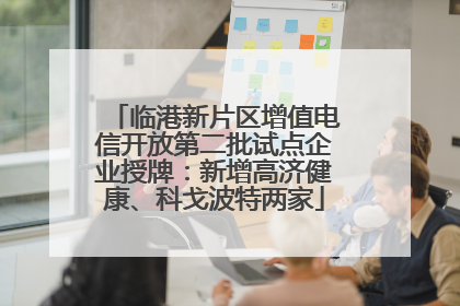 临港新片区增值电信开放第二批试点企业授牌：新增高济健康、科戈波特两家