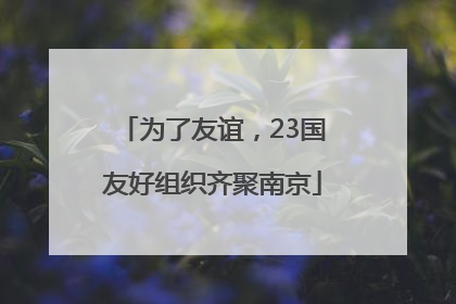 为了友谊，23国友好组织齐聚南京