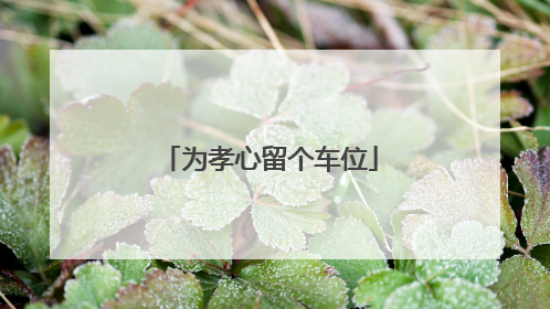 为孝心留个车位