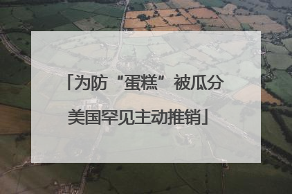 为防“蛋糕”被瓜分 美国罕见主动推销