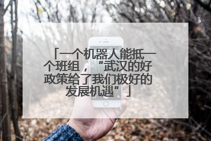 一个机器人能抵一个班组，“武汉的好政策给了我们极好的发展机遇”