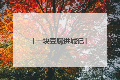 一块豆腐进城记