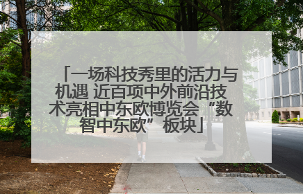一场科技秀里的活力与机遇 近百项中外前沿技术亮相中东欧博览会“数智中东欧”板块