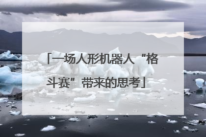 一场人形机器人“格斗赛”带来的思考