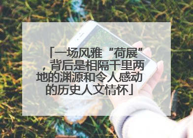 一场风雅“荷展”，背后是相隔千里两地的渊源和令人感动的历史人文情怀