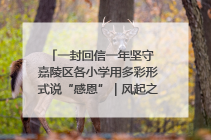 一封回信一年坚守 嘉陵区各小学用多彩形式说“感恩”｜风起之江 扶摇直上