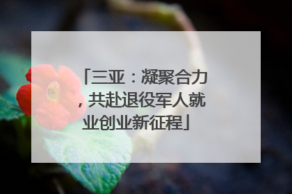 三亚：凝聚合力，共赴退役军人就业创业新征程