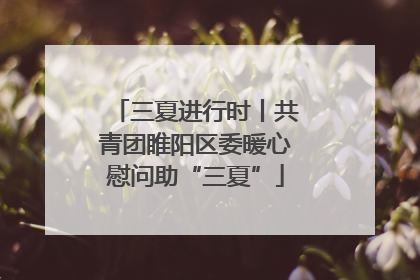 三夏进行时丨共青团睢阳区委暖心慰问助“三夏”