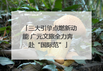 三大引擎点燃新动能 广元文旅全力奔赴“国际范”