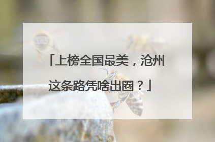 上榜全国最美，沧州这条路凭啥出圈？