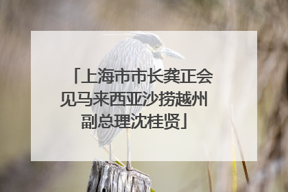 上海市市长龚正会见马来西亚沙捞越州副总理沈桂贤