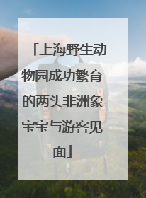上海野生动物园成功繁育的两头非洲象宝宝与游客见面