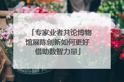 专家业者共论博物馆展陈创新如何更好借助数智力量