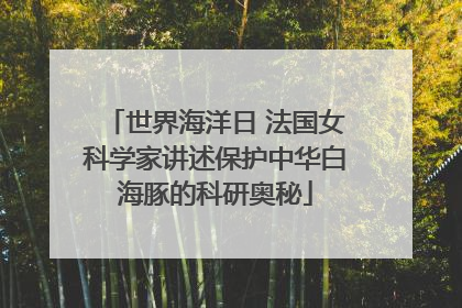世界海洋日 法国女科学家讲述保护中华白海豚的科研奥秘
