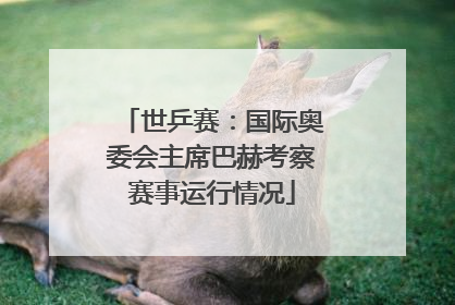 世乒赛：国际奥委会主席巴赫考察赛事运行情况