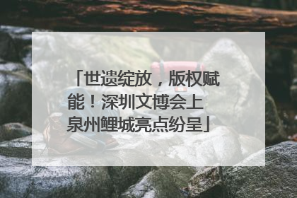世遗绽放，版权赋能！深圳文博会上 泉州鲤城亮点纷呈