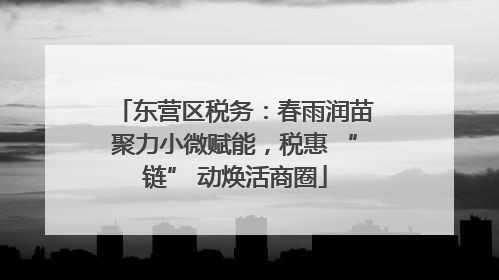 东营区税务：春雨润苗聚力小微赋能，税惠 “链” 动焕活商圈
