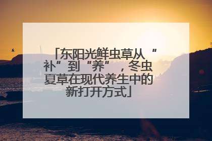 东阳光鲜虫草从“补”到“养”，冬虫夏草在现代养生中的新打开方式