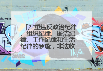 严重违反政治纪律、组织纪律、廉洁纪律、工作纪律和生活纪律的罗璇，非法收受他人巨额财物