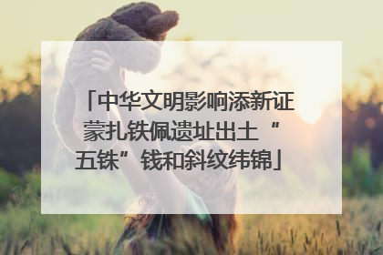 中华文明影响添新证 蒙扎铁佩遗址出土“五铢”钱和斜纹纬锦