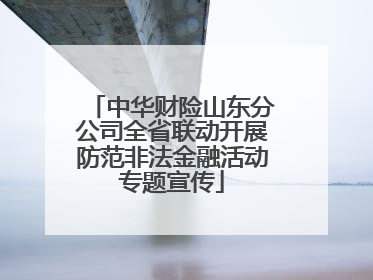 中华财险山东分公司全省联动开展防范非法金融活动专题宣传