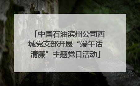 中国石油滨州公司西城党支部开展“端午话清廉”主题党日活动