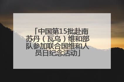 中国第15批赴南苏丹（瓦乌）维和部队参加联合国维和人员日纪念活动