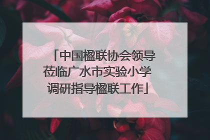 中国楹联协会领导莅临广水市实验小学调研指导楹联工作