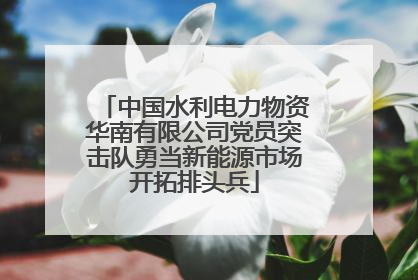 中国水利电力物资华南有限公司党员突击队勇当新能源市场开拓排头兵