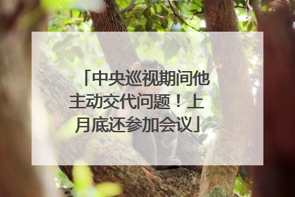 中央巡视期间他主动交代问题！上月底还参加会议
