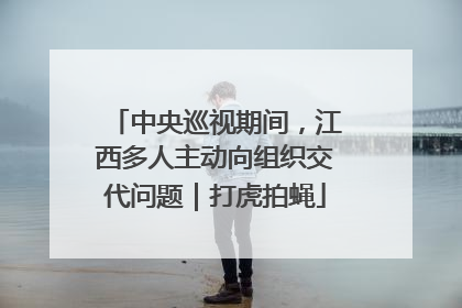 中央巡视期间，江西多人主动向组织交代问题｜打虎拍蝇