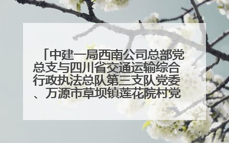 中建一局西南公司总部党总支与四川省交通运输综合行政执法总队第三支队党委、万源市草坝镇莲花院村党支部开展党建联建